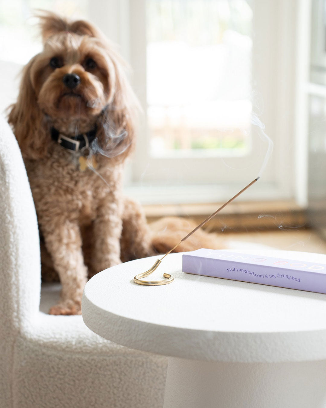 LIFT ME INCENSE STICKS & BRASS INCENSE HOLDER UN (i)